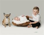 Cardiff baby photography with pet dog