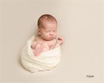 Blackwood baby photographer