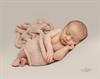 Caerphilly newborn baby photoshoot