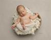 Cardiff baby newborn photography