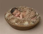 Cardiff newborn baby photography photoshoot