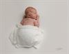 Cwmcarn newborn baby photoshoot