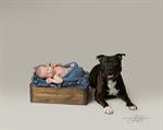 baby and dog photographer Cwmbran