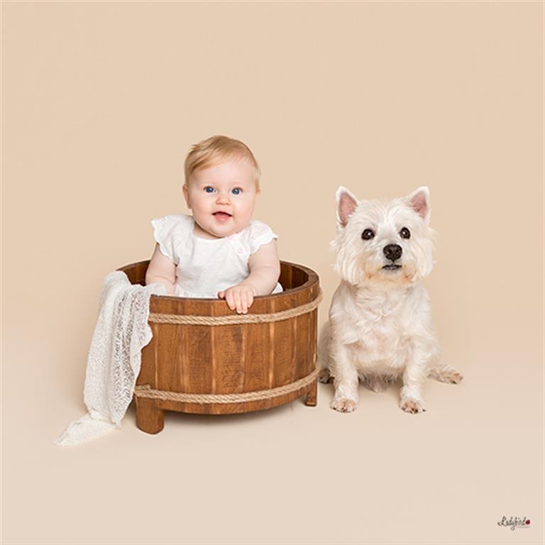 baby photography Cardiff with pet dog
