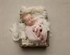 baby photographer Pontypool