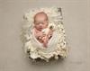 Newborn photography Newport